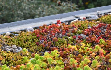 the cost of Hurstbourne Tarrant green roof installation
