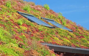 Hurstbourne Tarrant living roof systems