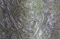 Hurstbourne Tarrant fibreglass roof work